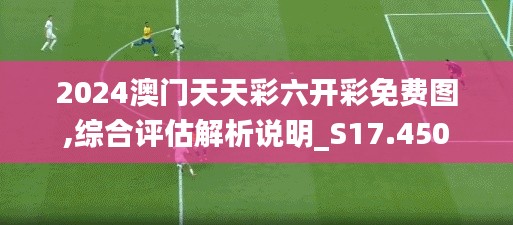 2024澳门天天彩六开彩免费图,综合评估解析说明_S17.450