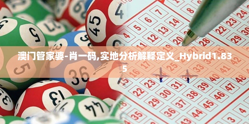 澳门管家婆-肖一码,实地分析解释定义_Hybrid1.835