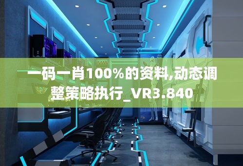 一码一肖100%的资料,动态调整策略执行_VR3.840