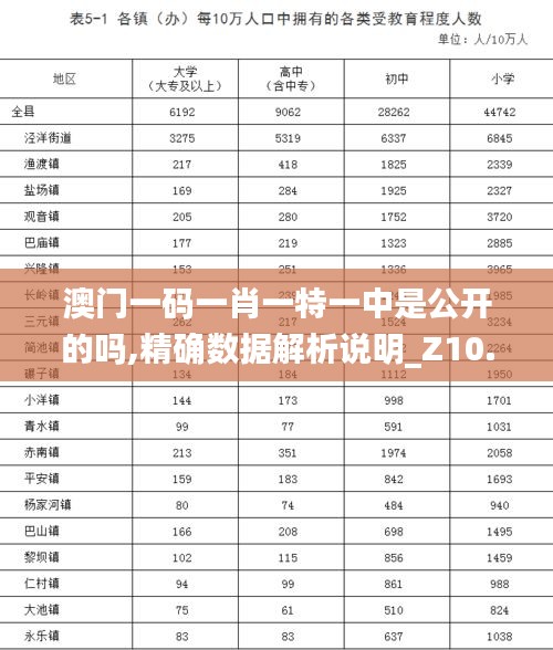 澳门一码一肖一特一中是公开的吗,精确数据解析说明_Z10.907