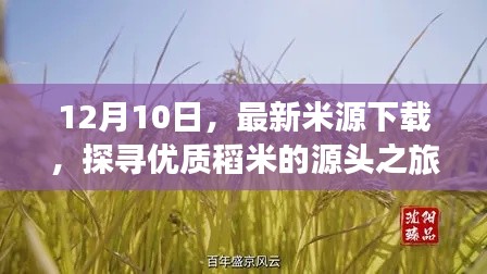 探寻优质稻米源头之旅，最新米源下载于12月10日启动