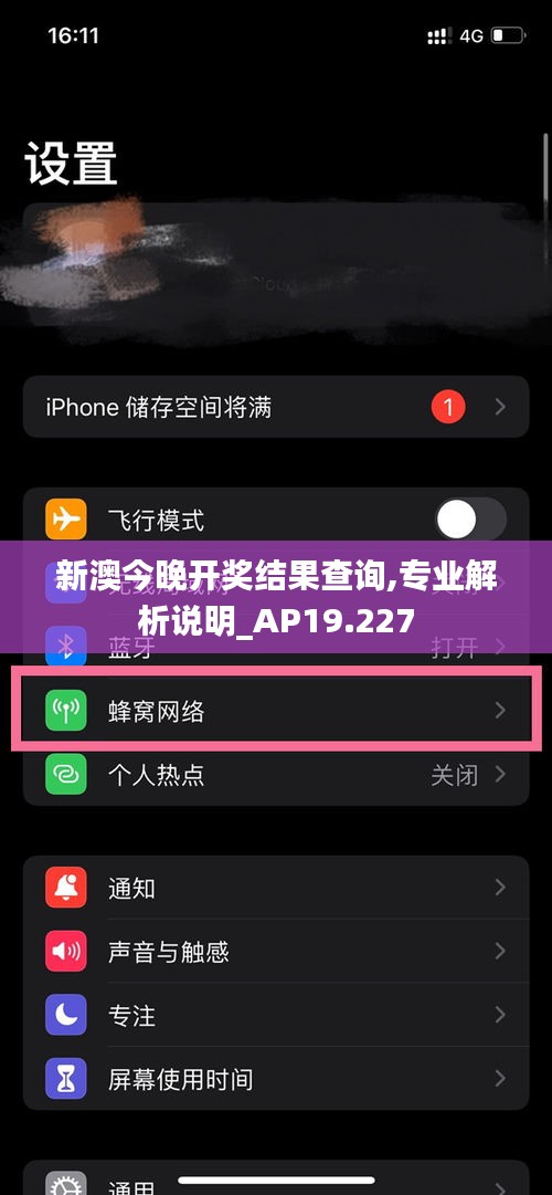 新澳今晚开奖结果查询,专业解析说明_AP19.227