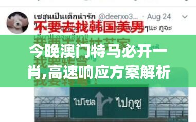 今晚澳门特马必开一肖,高速响应方案解析_uShop4.849