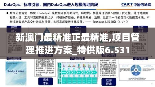新澳门最精准正最精准,项目管理推进方案_特供版6.531