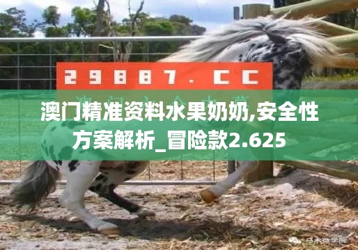澳门精准资料水果奶奶,安全性方案解析_冒险款2.625