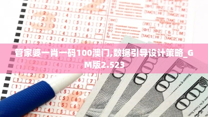管家婆一肖一码100澳门,数据引导设计策略_GM版2.523