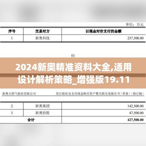 2024新奥精准资料大全,适用设计解析策略_增强版19.111