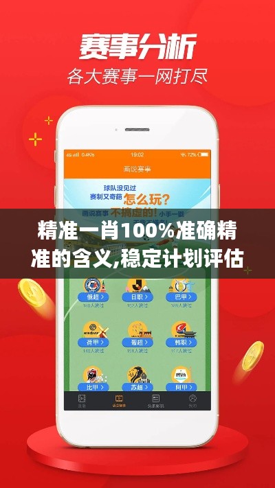 精准一肖100%准确精准的含义,稳定计划评估_顶级款3.814