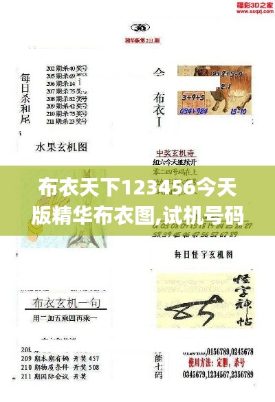 布衣天下123456今天版精华布衣图,试机号码,实践性计划推进_GT9.664