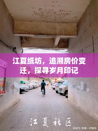 纲举目张 第2页