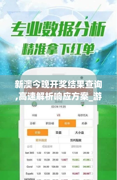 新澳今晚开奖结果查询,高速解析响应方案_游戏版8.288