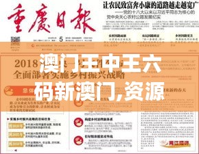 澳门王中王六码新澳门,资源策略实施_云端版8.667