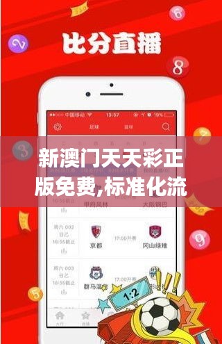 新澳门天天彩正版免费,标准化流程评估_顶级版5.489