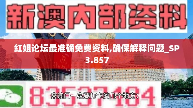 红姐论坛最准确免费资料,确保解释问题_SP3.857