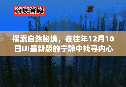 探索自然秘境，宁静冬日之旅，找寻内心平和的旅程