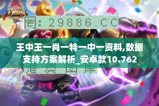 王中王一肖一特一中一资料,数据支持方案解析_安卓款10.762