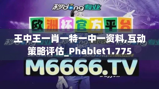 王中王一肖一特一中一资料,互动策略评估_Phablet1.775