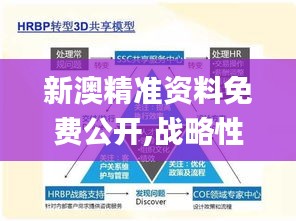 新澳精准资料免费公开,战略性方案优化_轻量版2.415