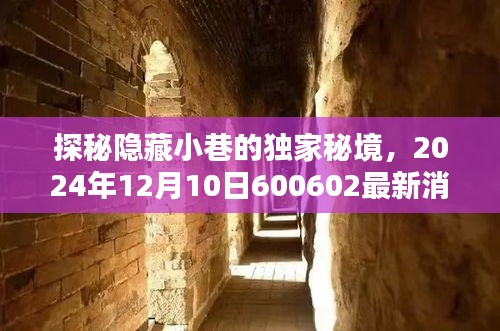 张三李四 第2页