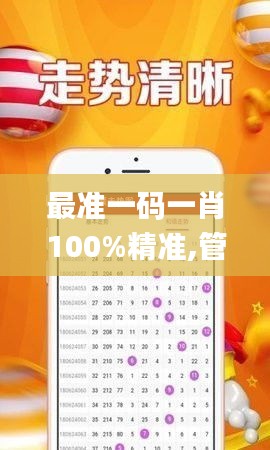 最准一码一肖100%精准,管家婆大小中特,深入设计执行方案_战略版7.354