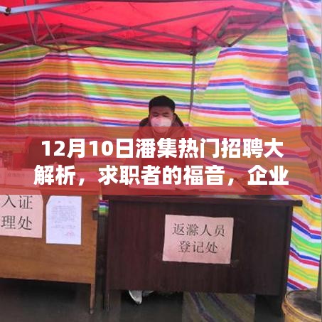 潘集热门招聘大解析，求职者的福音与企业招募良机（12月10日）