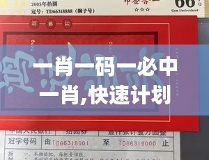 一肖一码一必中一肖,快速计划解答设计_精英版8.888