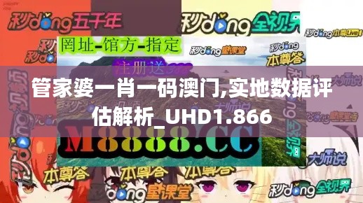管家婆一肖一码澳门,实地数据评估解析_UHD1.866