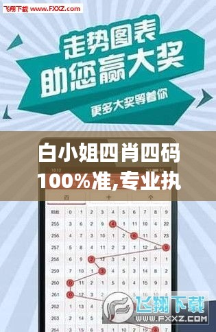 白小姐四肖四码100%准,专业执行问题_Pixel4.449
