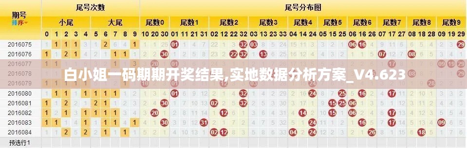 白小姐一码期期开奖结果,实地数据分析方案_V4.623