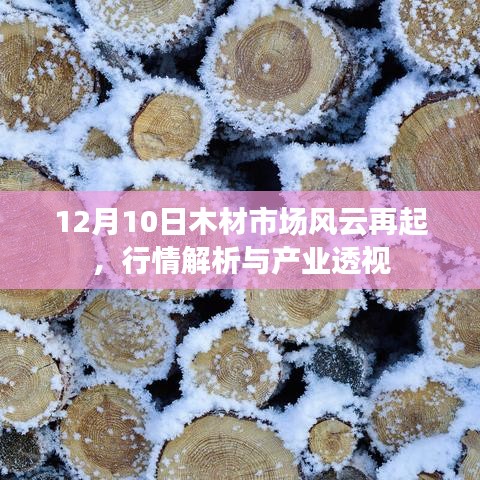 12月10日木材市场风云再起，行情解析与产业深度透视