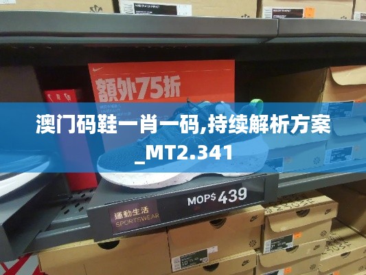 澳门码鞋一肖一码,持续解析方案_MT2.341
