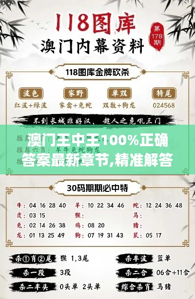 澳门王中王100%正确答案最新章节,精准解答解释定义_创新版10.170