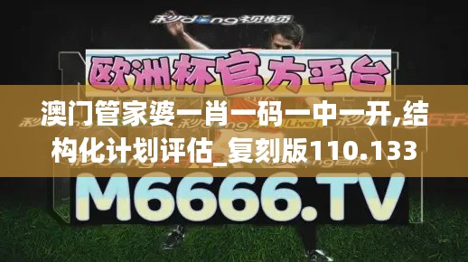 澳门管家婆一肖一码一中一开,结构化计划评估_复刻版110.133