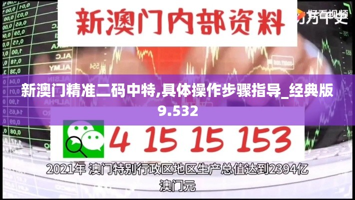 新澳门精准二码中特,具体操作步骤指导_经典版9.532