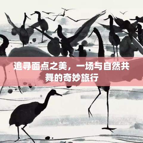 飞蛾扑火 第2页