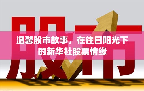 温馨股市故事，新华社股票情缘与往日阳光下的情缘记