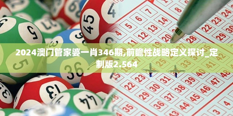 2024澳门管家婆一肖346期,前瞻性战略定义探讨_定制版2.564