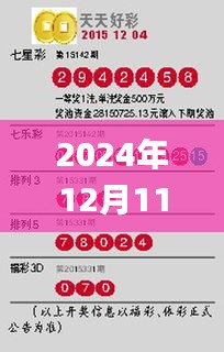 2024年12月11日2004新澳门天天开好彩,实地验证数据计划_薄荷版7.943