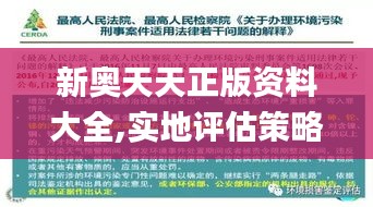 新奥天天正版资料大全,实地评估策略_复古款3.339