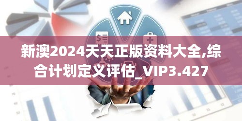 新澳2024天天正版资料大全,综合计划定义评估_VIP3.427