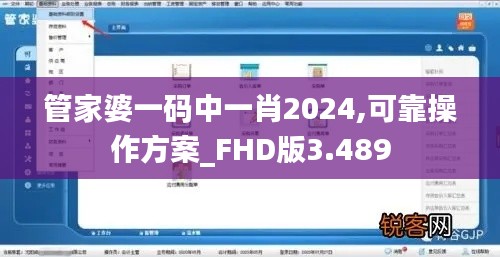 管家婆一码中一肖2024,可靠操作方案_FHD版3.489