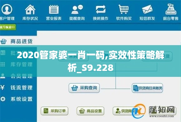 2020管家婆一肖一码,实效性策略解析_S9.228