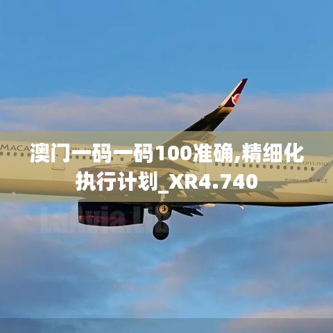 澳门一码一码100准确,精细化执行计划_XR4.740