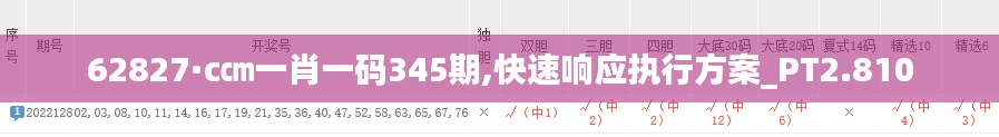 62827·c㎝一肖一码345期,快速响应执行方案_PT2.810