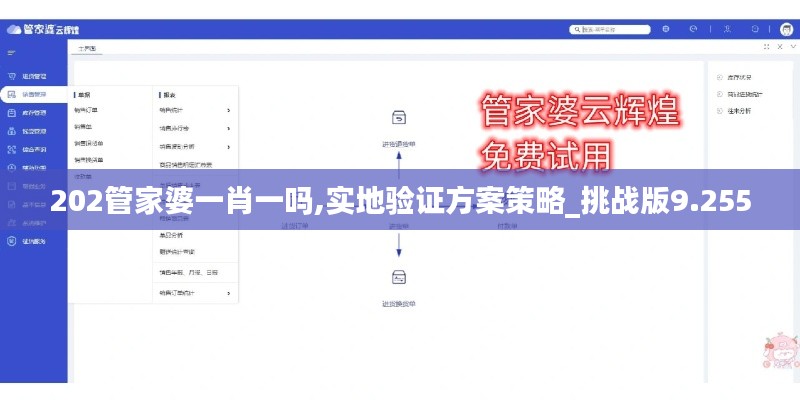 202管家婆一肖一吗,实地验证方案策略_挑战版9.255