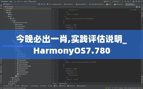 今晚必出一肖,实践评估说明_HarmonyOS7.780