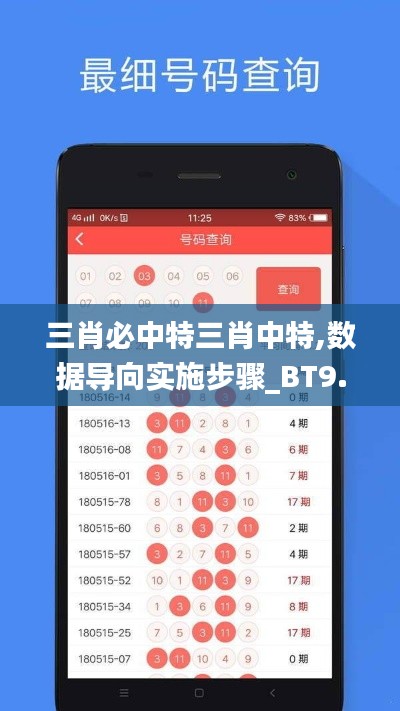 三肖必中特三肖中特,数据导向实施步骤_BT9.966