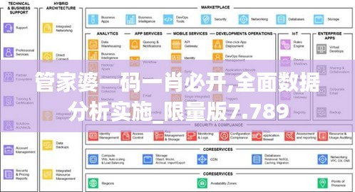 管家婆一码一肖必开,全面数据分析实施_限量版7.789