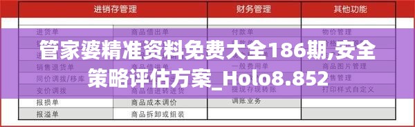 管家婆精准资料免费大全186期,安全策略评估方案_Holo8.852