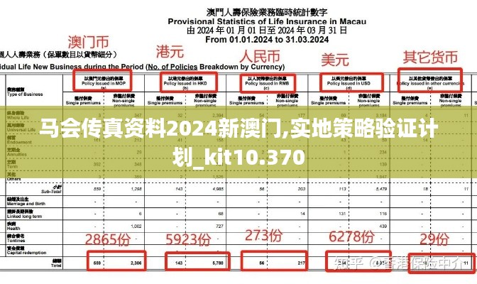 马会传真资料2024新澳门,实地策略验证计划_kit10.370